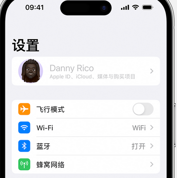 巴塘appleID维修服务iPhone设置中Apple ID显示为灰色无法使用 