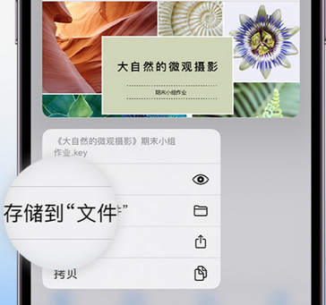 巴塘apple维修中心分享iPhone文件应用中存储和找到下载文件