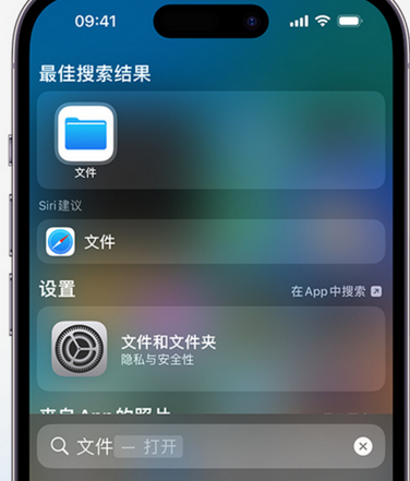 巴塘apple维修中心分享iPhone文件应用中存储和找到下载文件 