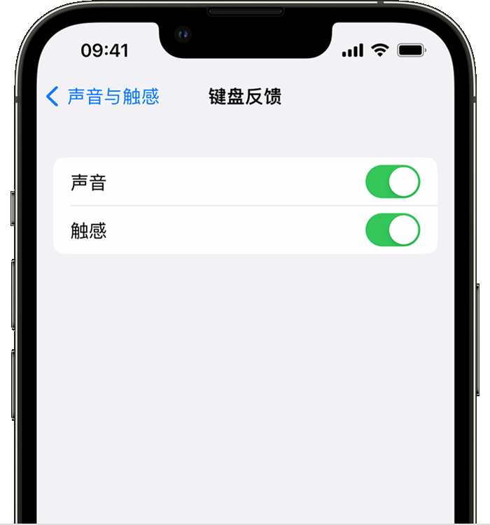 巴塘苹果14维修店分享如何在 iPhone 14 机型中使用触感键盘 