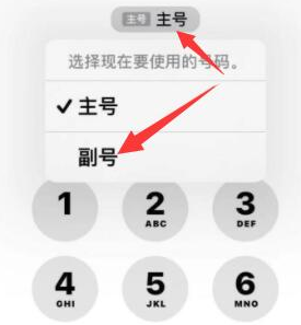 巴塘苹果14维修店分享iPhone 14 Pro Max使用副卡打电话的方法 