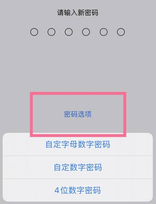 巴塘苹果14维修分享iPhone 14plus设置密码的方法 