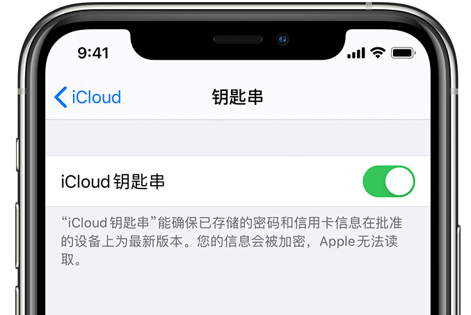 巴塘苹果手机维修分享在 iPhone 上开启 iCloud 钥匙串之后会储存哪些信息 