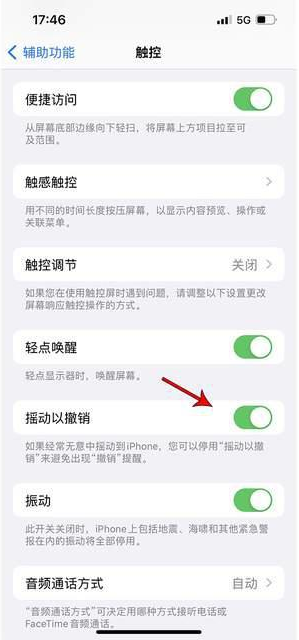 巴塘苹果手机维修分享iPhone手机如何设置摇一摇删除文字 