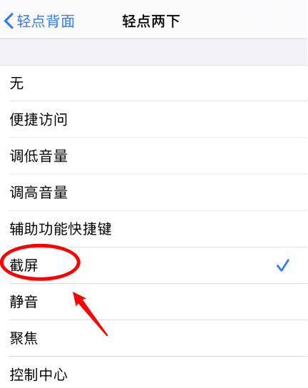 巴塘苹果手机维修分享iPhone12如何启用双击截屏 